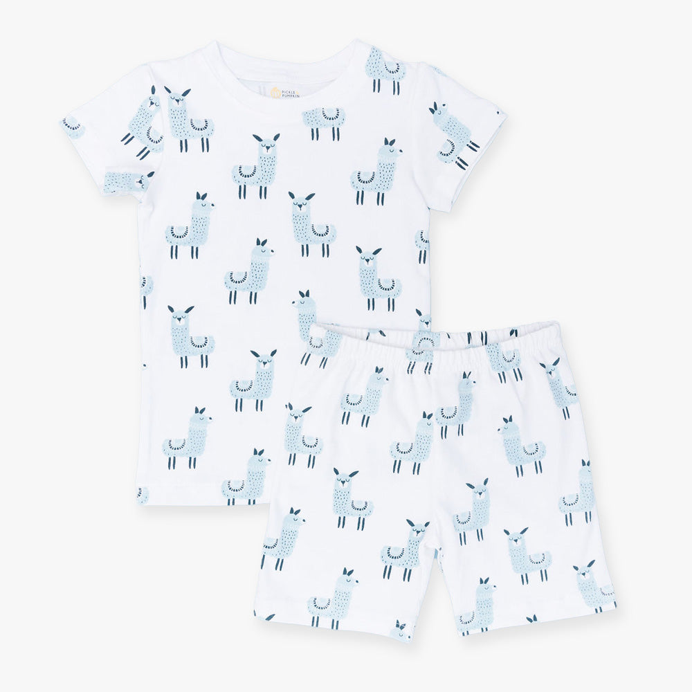 Two Piece Shorts Set