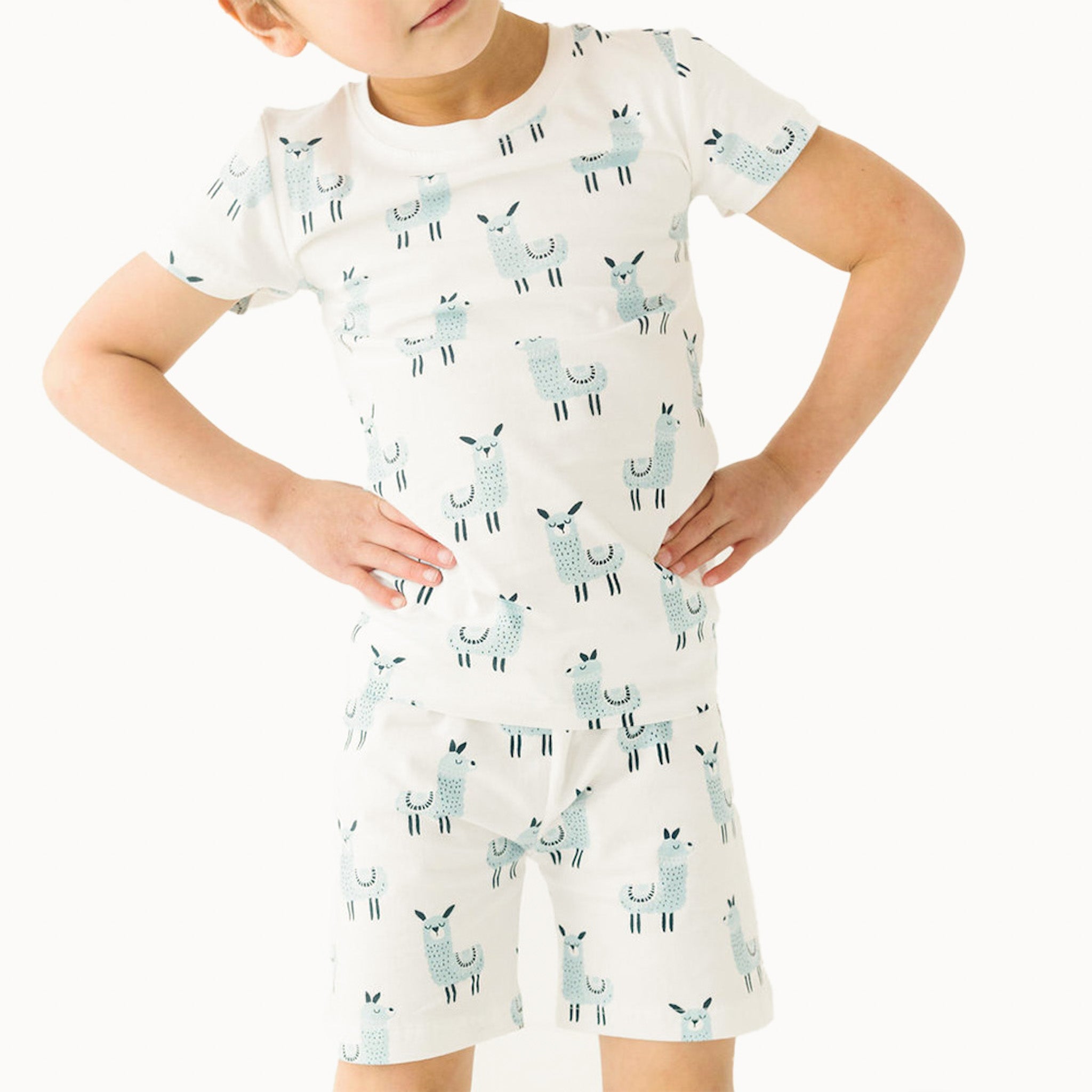 Llama Shorts Two-piece Set
